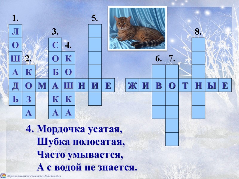 4. Мордочка усатая,     Шубка полосатая,     Часто